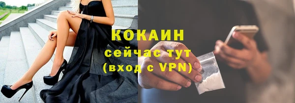 соль ск Каменногорск