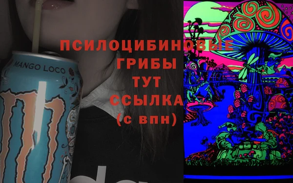MDMA Карпинск