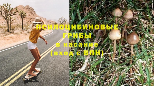 MDMA Карпинск