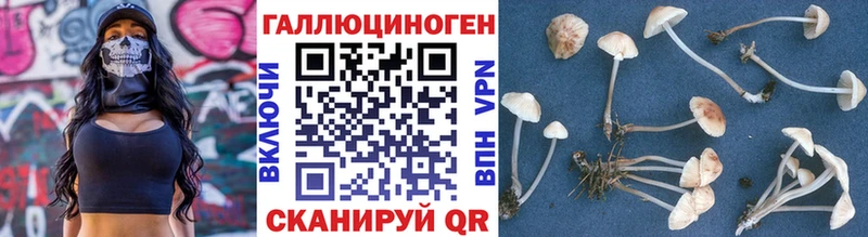 Галлюциногенные грибы прущие грибы  Купить где  Константиновск 